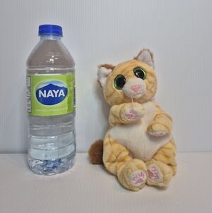 TY BEANIE BELLIES "MANGO"